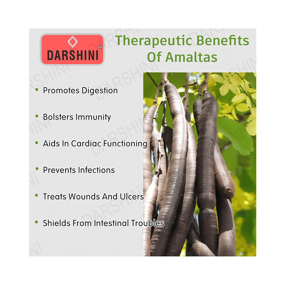 Darshini Amaltas Pulp / Amaltas Guda / Amaltas - Image 3