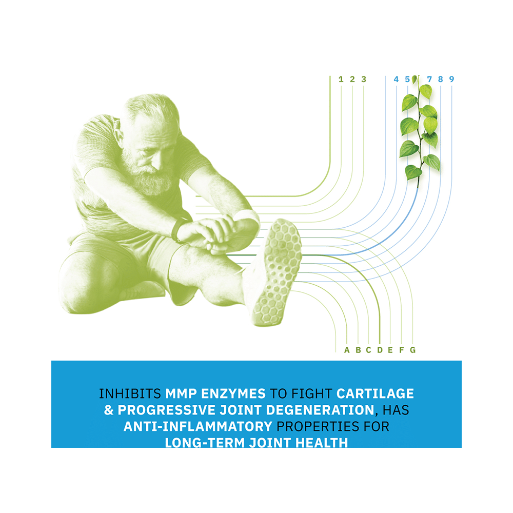 Flexiqule Capsule with Bosewellia Serrata & Ginger | For Joint Stiffness & Pain Relief (10 Each) with Thioquest Gel Free - Image 4