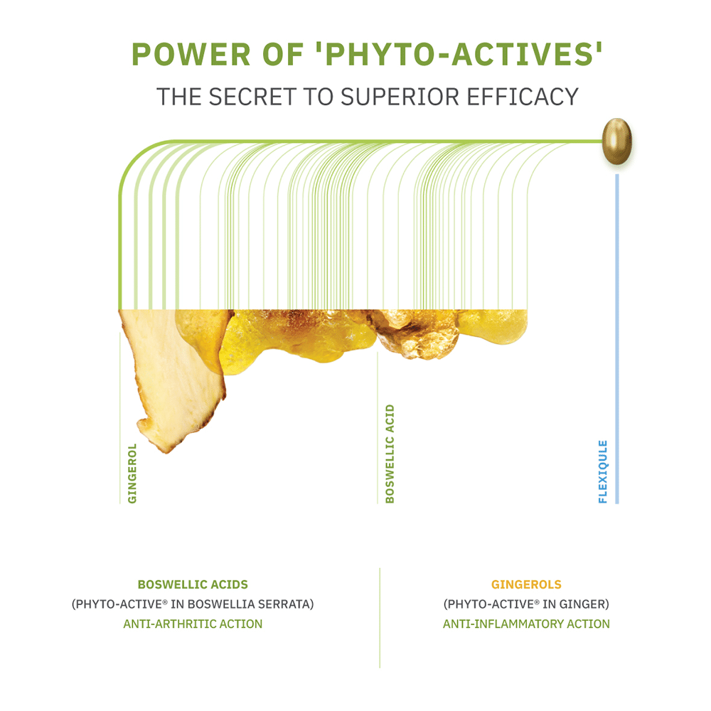 Flexiqule Capsule with Bosewellia Serrata & Ginger | For Joint Stiffness & Pain Relief (10 Each) with Thioquest Gel Free - Image 5