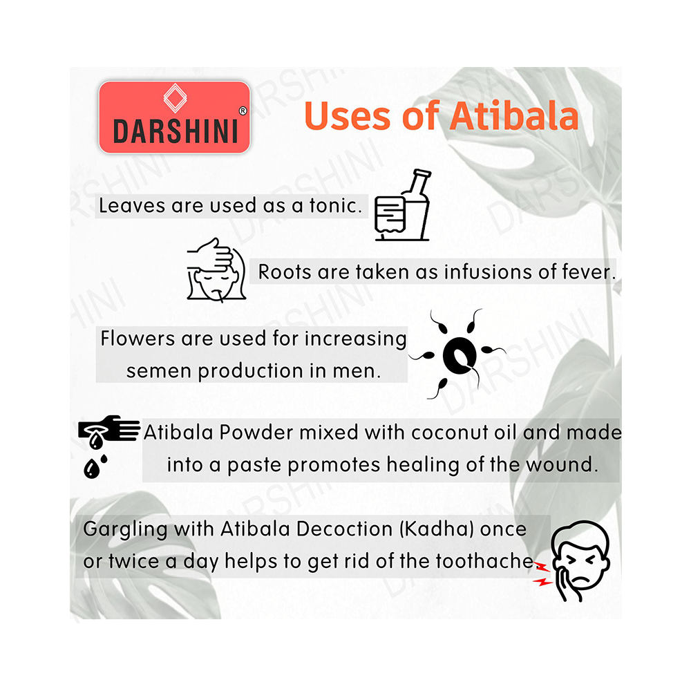 Darshini Atibala / Kangi / Indian Mallow / Thuthi / Abutilon Indicum Powder - Image 2