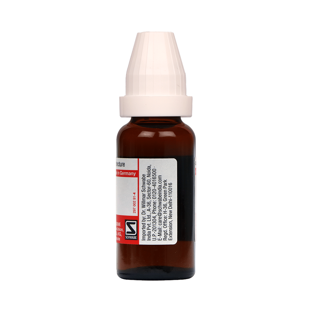 Dr Willmar Schwabe Germany Crataegus Oxyacantha Mother Tincture Q - Image 2