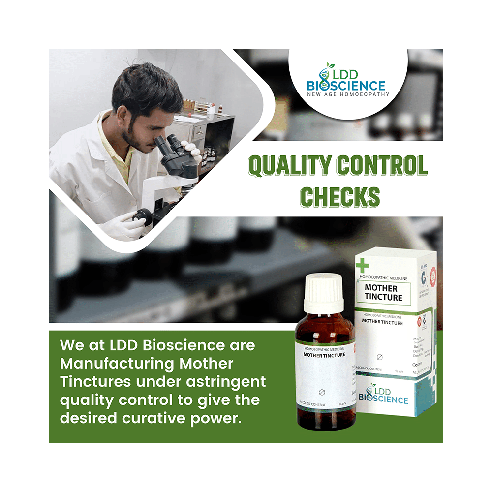 LDD Bioscience Ficus Religiosa Mother Tincture Q - Image 4