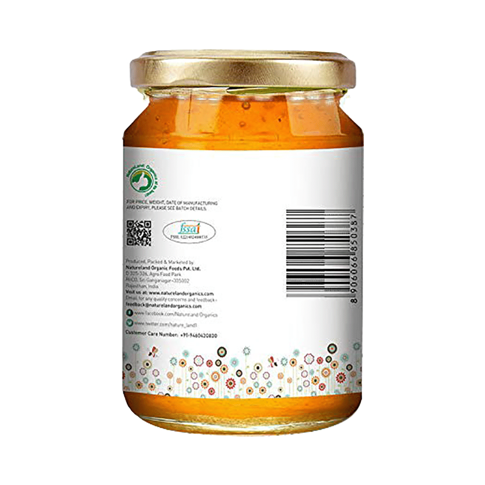 Natureland Organic Honey - Image 3
