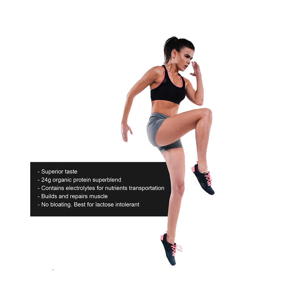 Plantigo Plant Based Protein Powder Brazilian Chocolate - Image 7