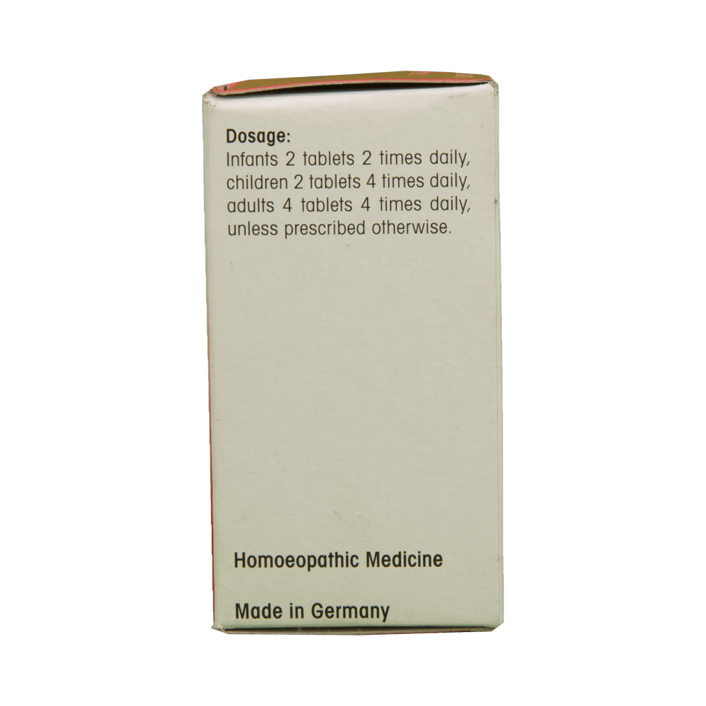 Dr. Reckeweg Calcarea Phosphorica Biochemic Tablet 6X | Supports Strong Teeth & Bones | For Pain Relief - Image 4