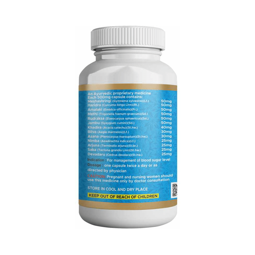Raayancha Herbals DB Capsule for Diabetes - Image 4