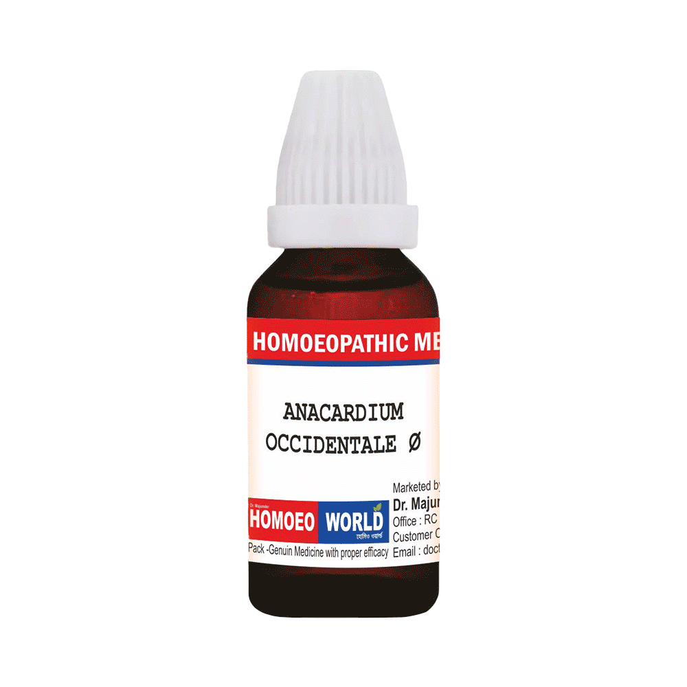 Dr. Majumder Homeo World Anacardium Occidentale Q Mother Tincher(30ml Each) - Image 1