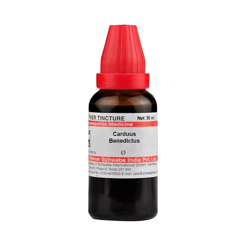 Dr Willmar Schwabe India Carduus Benedictus Mother Tincture Q - Image 1