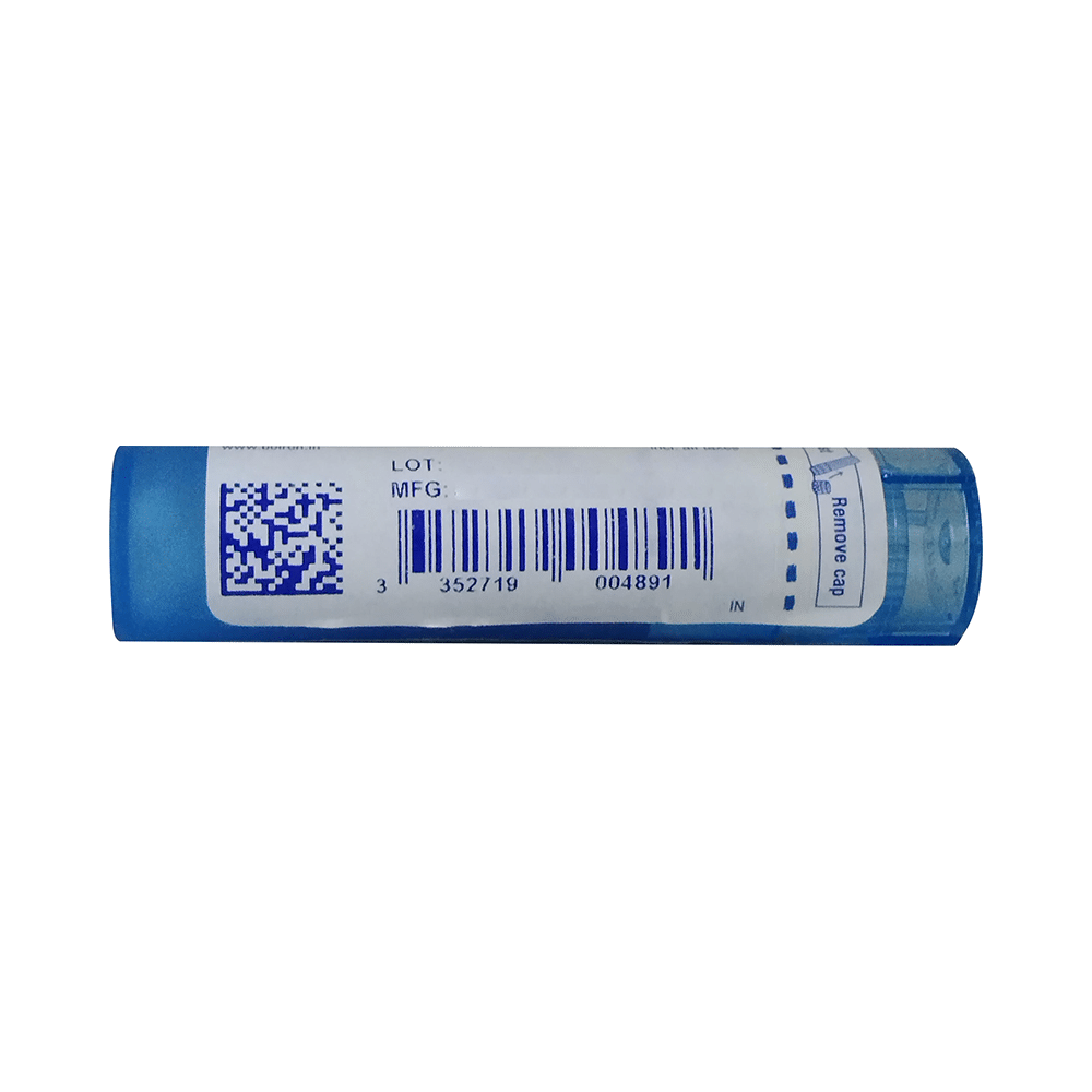 Boiron Bacillus Coli (Colibacillinum) Pellets 200C - Image 2