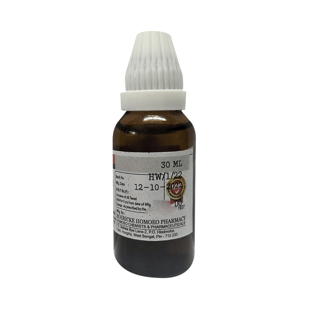 Dr. Majumder Homeo World Arnica Album Dilution 3 (30ml Each) - Image 2