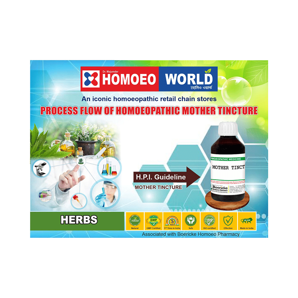 Dr. Majumder Homeo World Clematis Erecta Mother Tincture (30ml Each) Q - Image 3