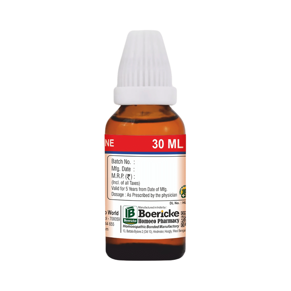 Dr. Majumder Homeo World Clematis Erecta Mother Tincture (30ml Each) Q - Image 2