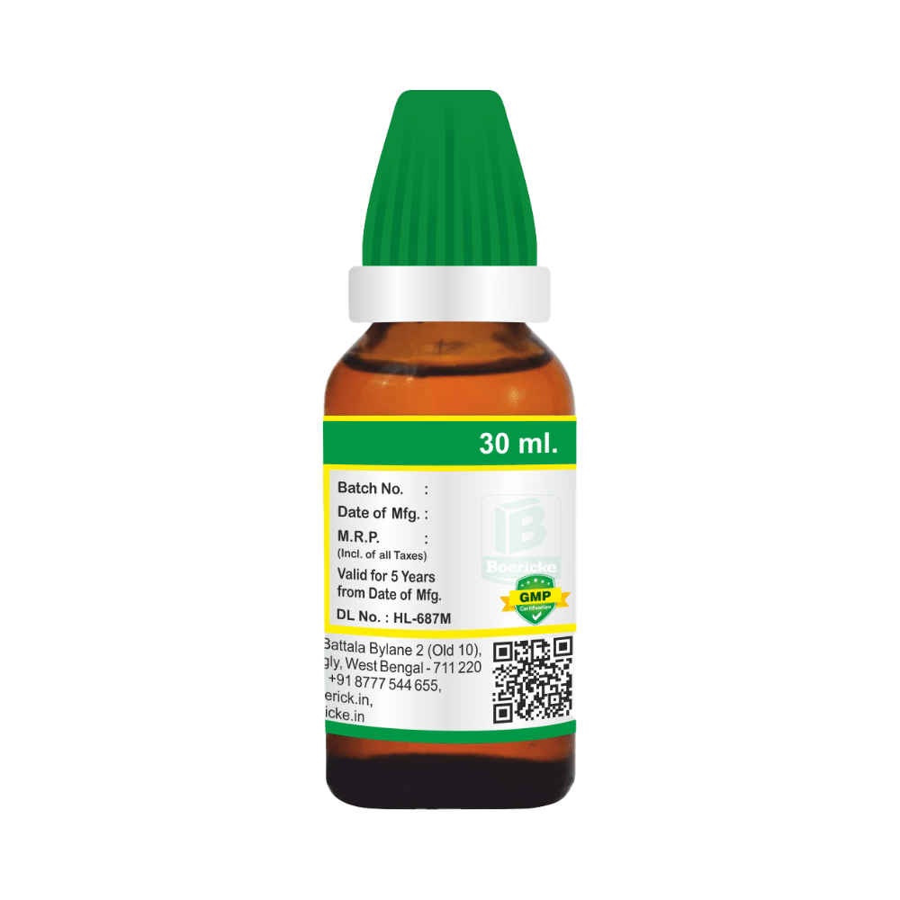 Boericke Acalypha Indica Dilution (30ml Each) 6 - Image 2