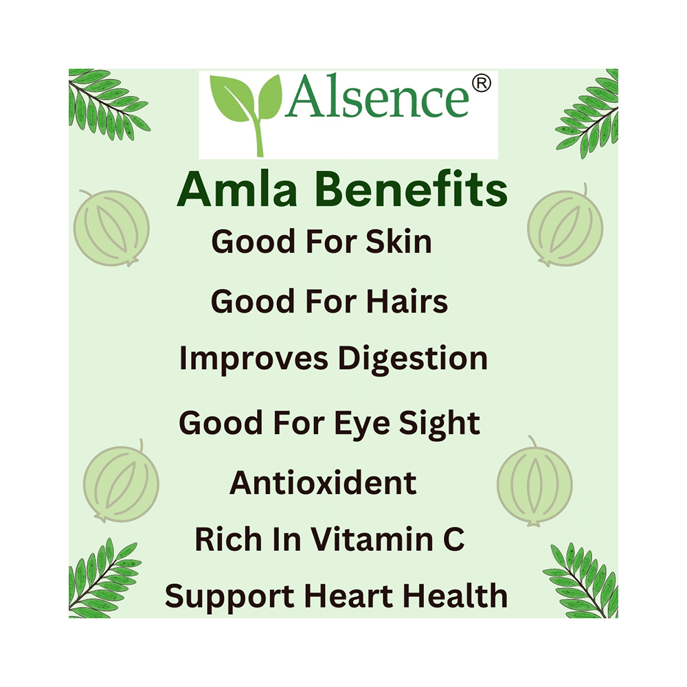 Alsence Combo Pack of Amla Candy Sweet (200gm) and Amla Candy Chatpata (200gm) - Image 6
