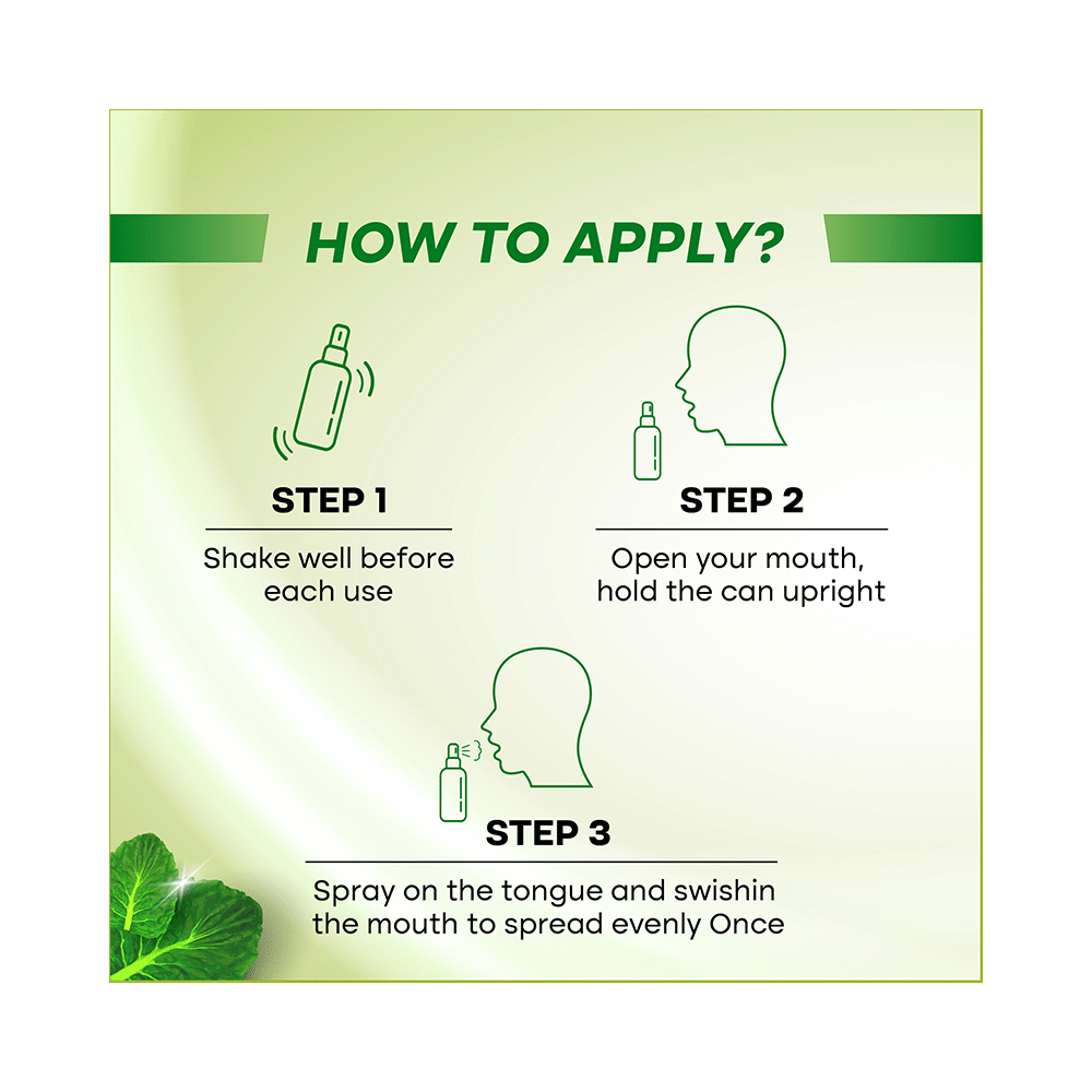 Smyle Sviz Minto Fresh Mouth Freshener Spray Elaichi - Image 5