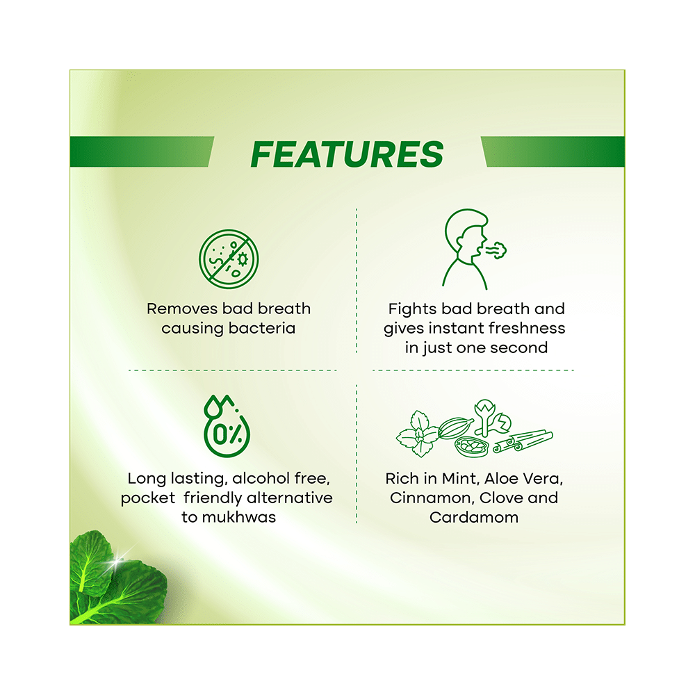 Smyle Sviz Minto Fresh Mouth Freshener Spray Elaichi - Image 3