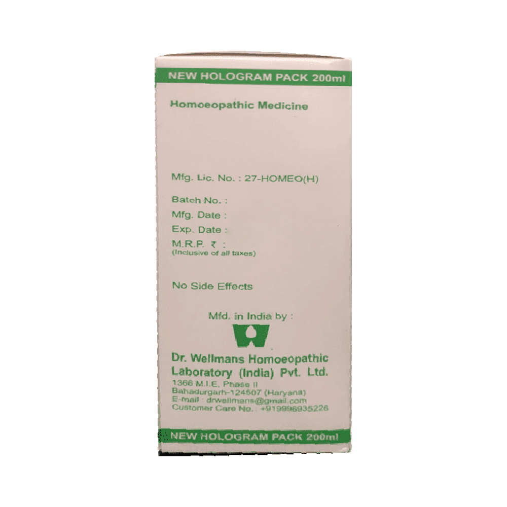 Dr. Wellmans Dige-Com Syrup - Image 2