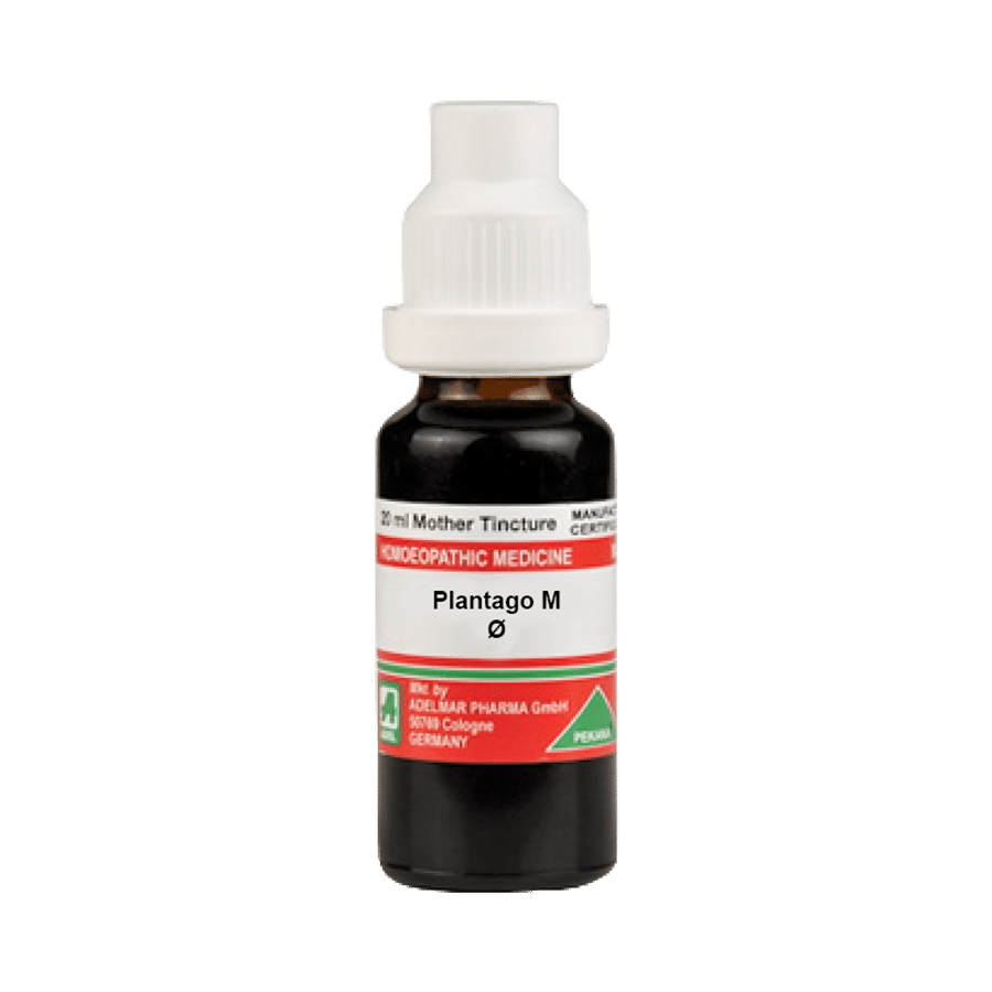 ADEL Plantago M Mother Tincture Q - Image 1