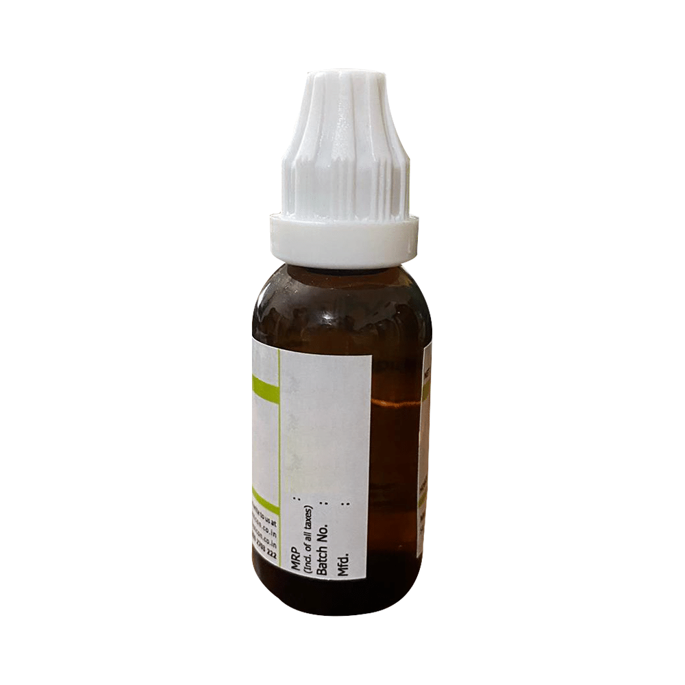 Medilexicon Aspidosperma Q Liquid Dilution 6X - Image 2