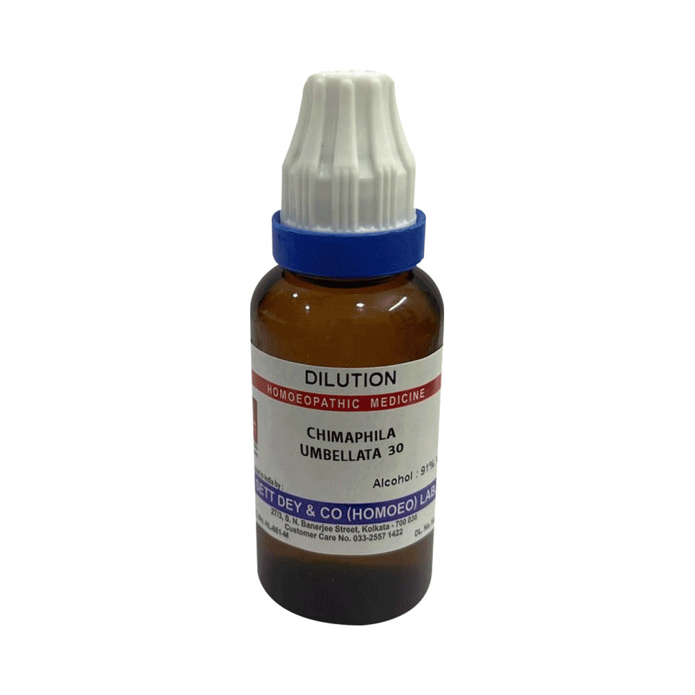 Sett Dey Chimaphila Umbellata Dilution 30 - Image 1
