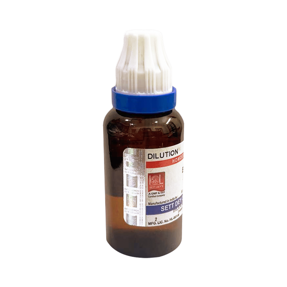 Sett Dey Chimaphila Umbellata Dilution 30 - Image 2