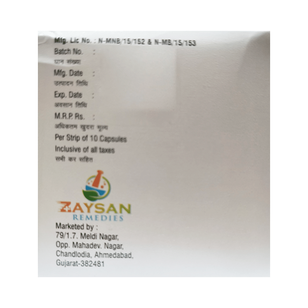 Zaypan-DSR Capsule - Image 3