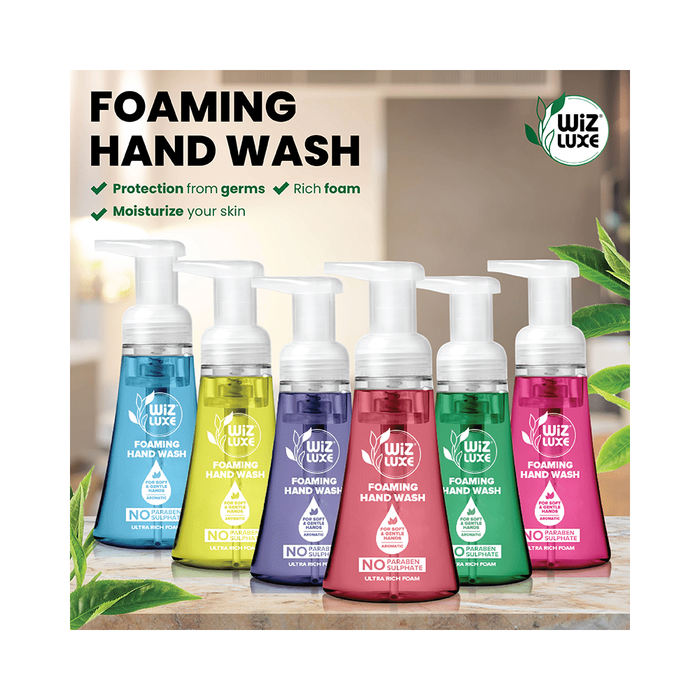 Wiz Luxe Foaming Hand Wash (300ml Each) Blue Berries - Image 5