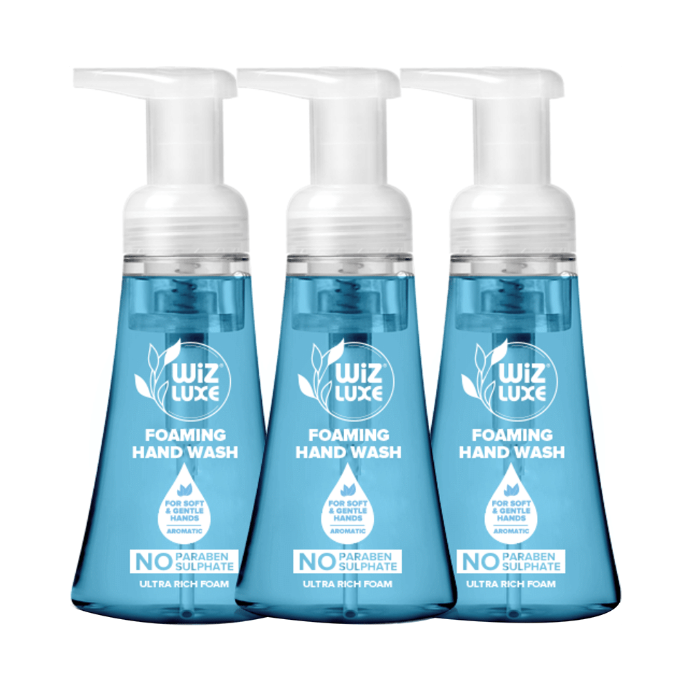 Wiz Luxe Foaming Hand Wash (300ml Each) Blue Berries
