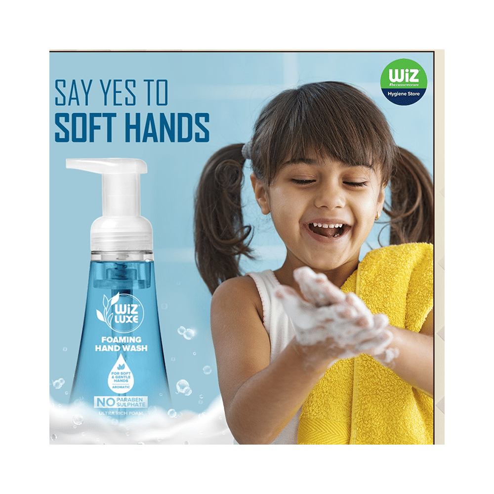 Wiz Luxe Foaming Hand Wash (300ml Each) Blue Berries - Image 3