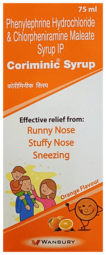 Coriminic Orange Flavour Syrup - Image 2